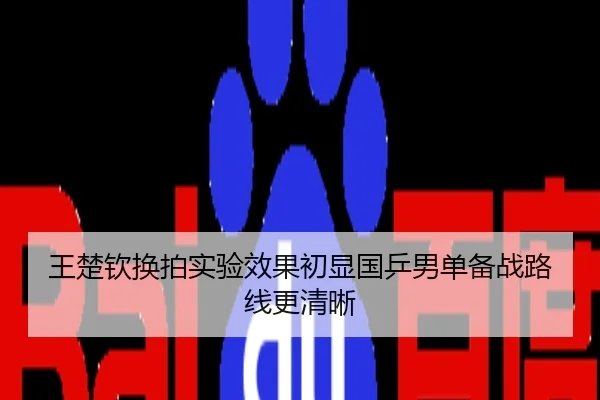 王楚钦换拍实验效果初显国乒男单备战路线更清晰